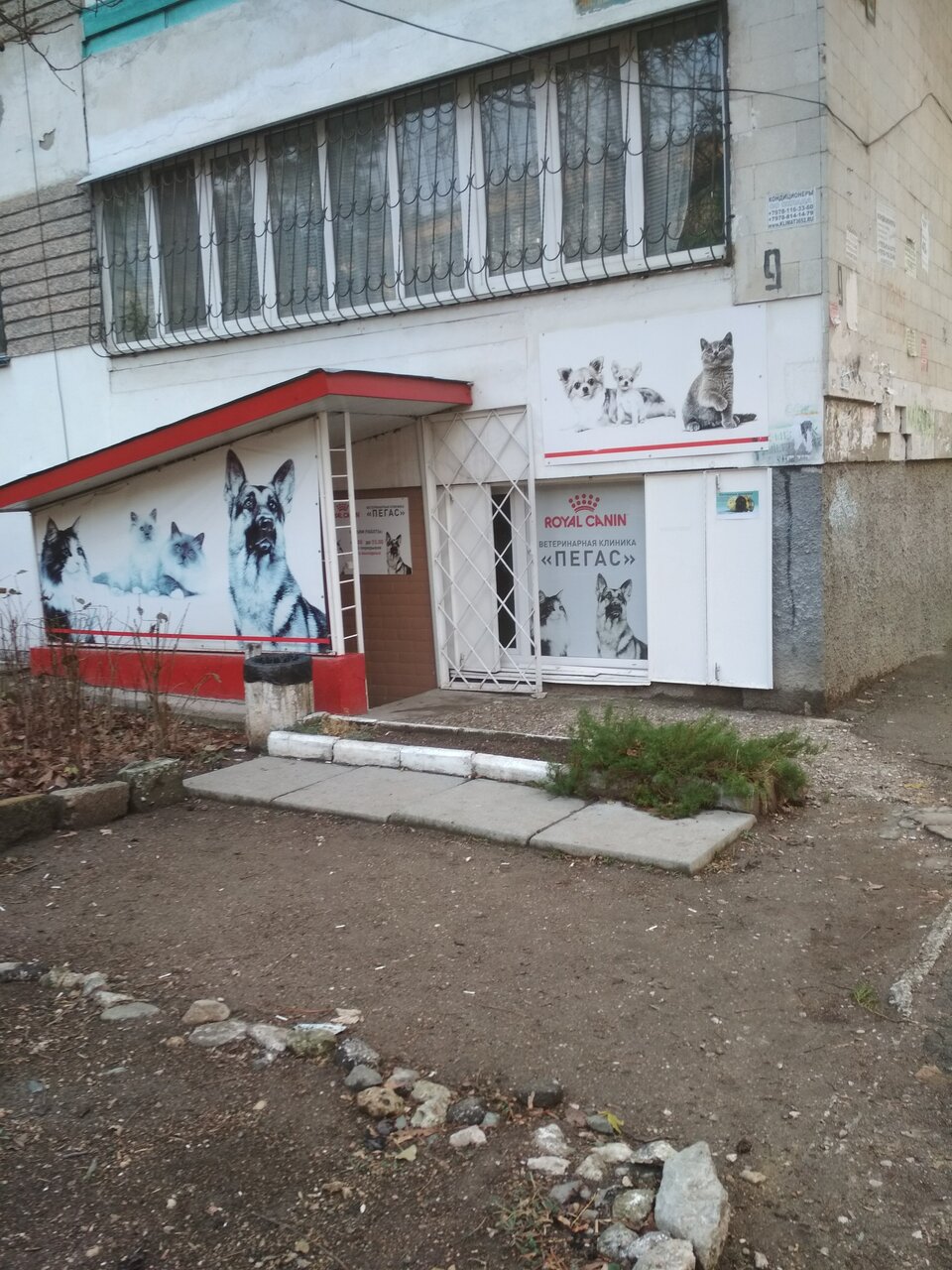 Фото клиники 51344