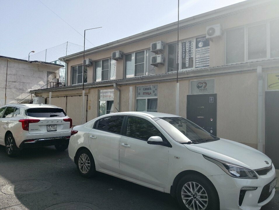 Синяя птица