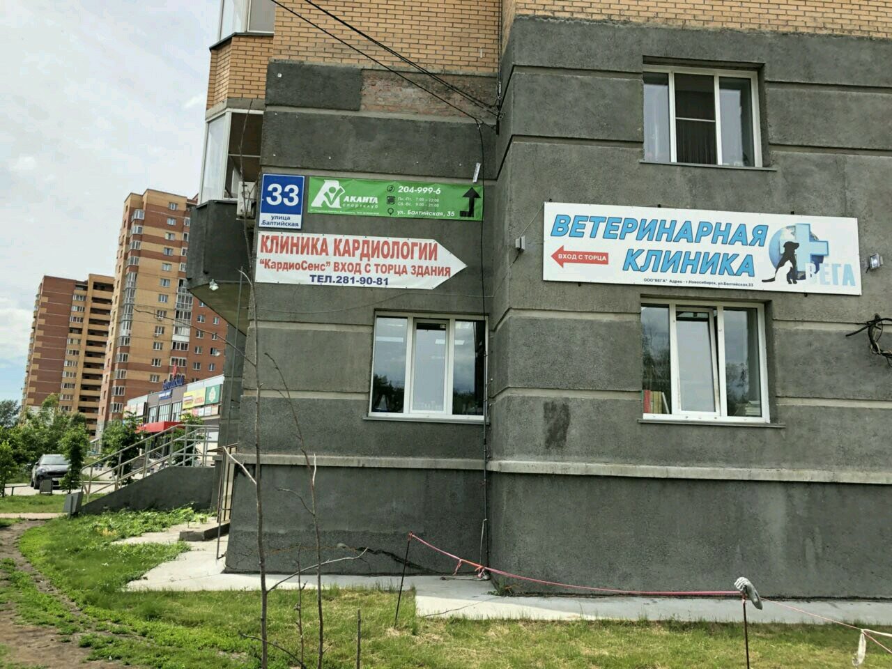 Фото «Вега»