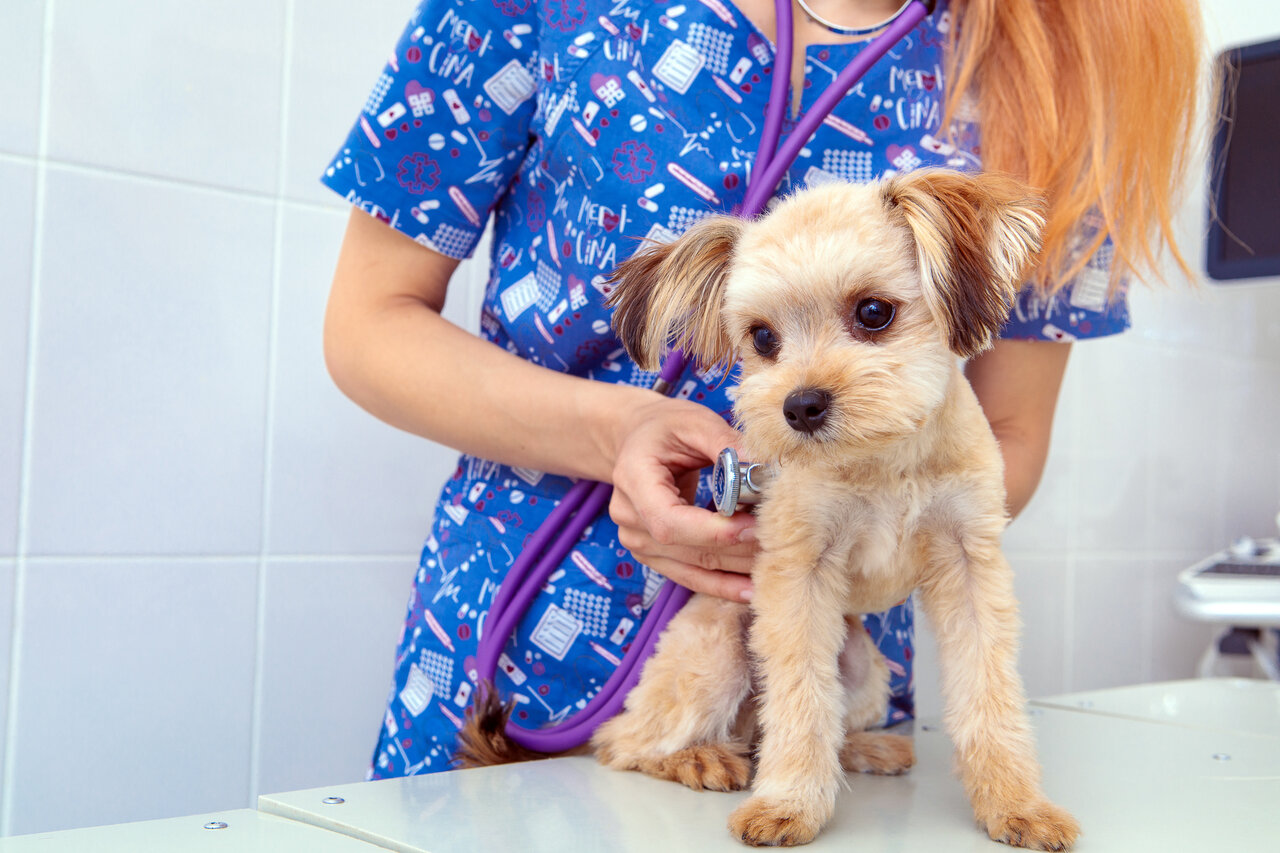 clinic general image