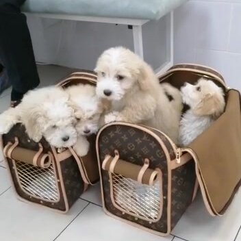 clinic general image