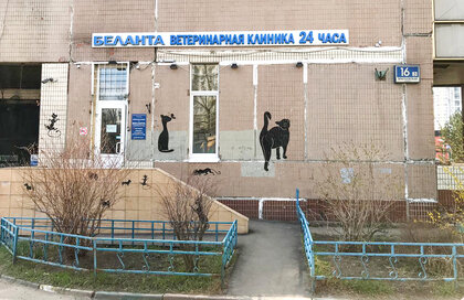 Главное фото клиники