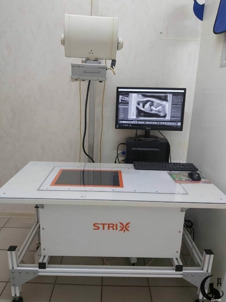 more clinic photos 49097