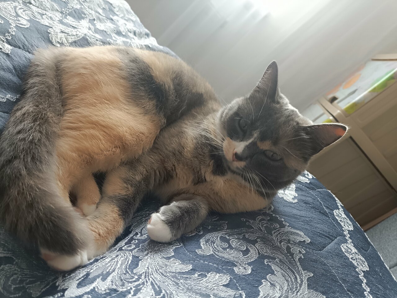 КГКУ Ужурский отдел ветеринарии