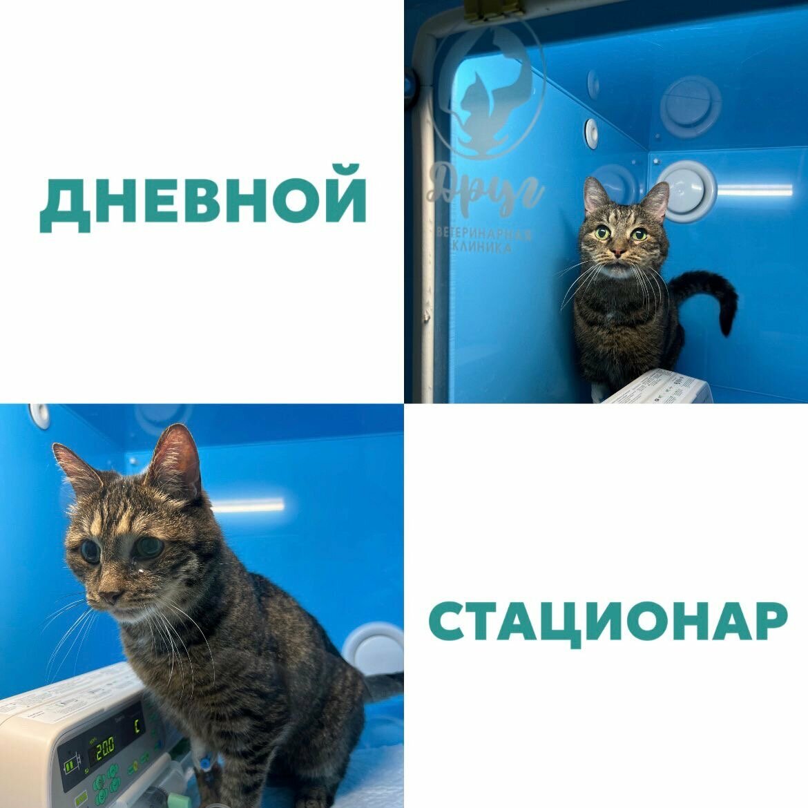 more clinic photos 40288