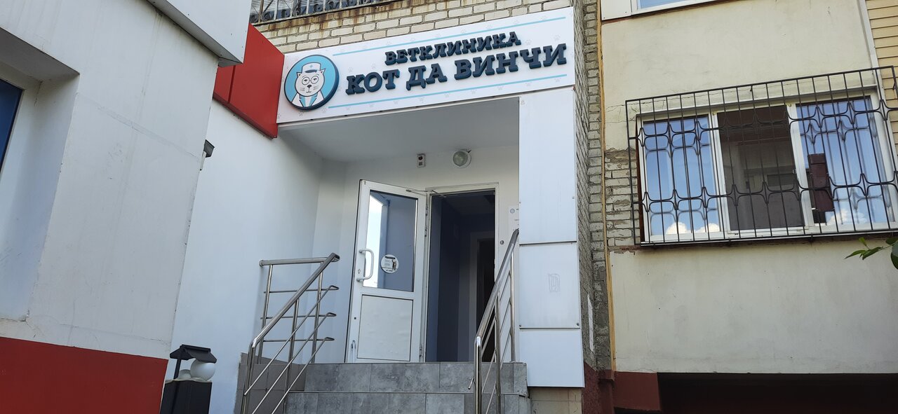 Кот Да Винчи