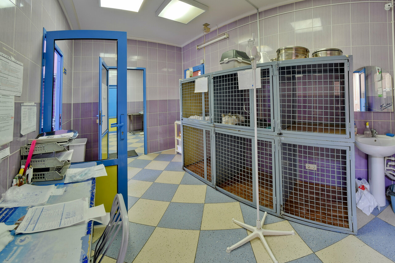 Фото клиники 81675