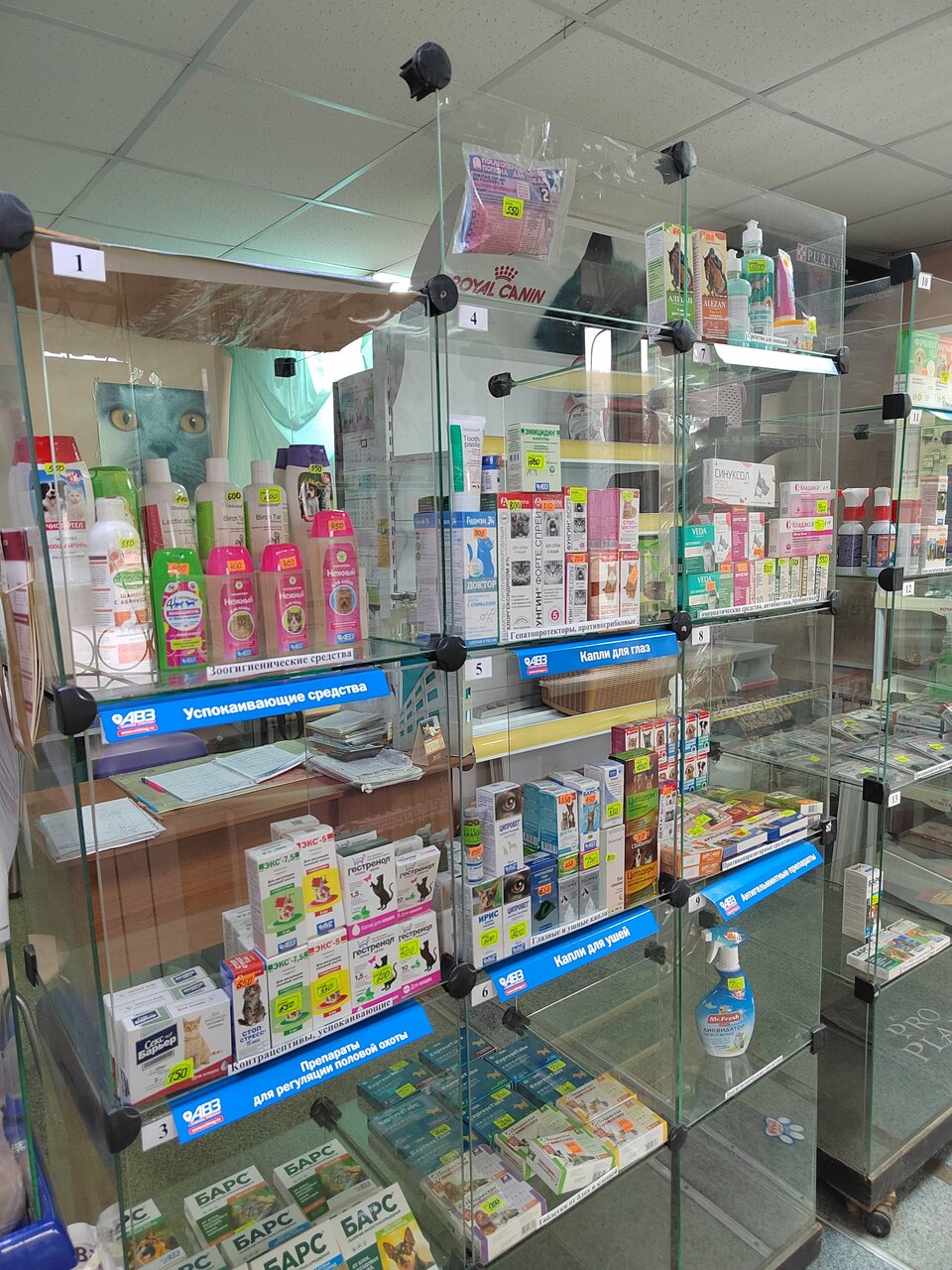 more clinic photos 3169