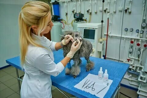 clinic general image