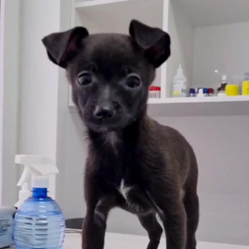 clinic general image