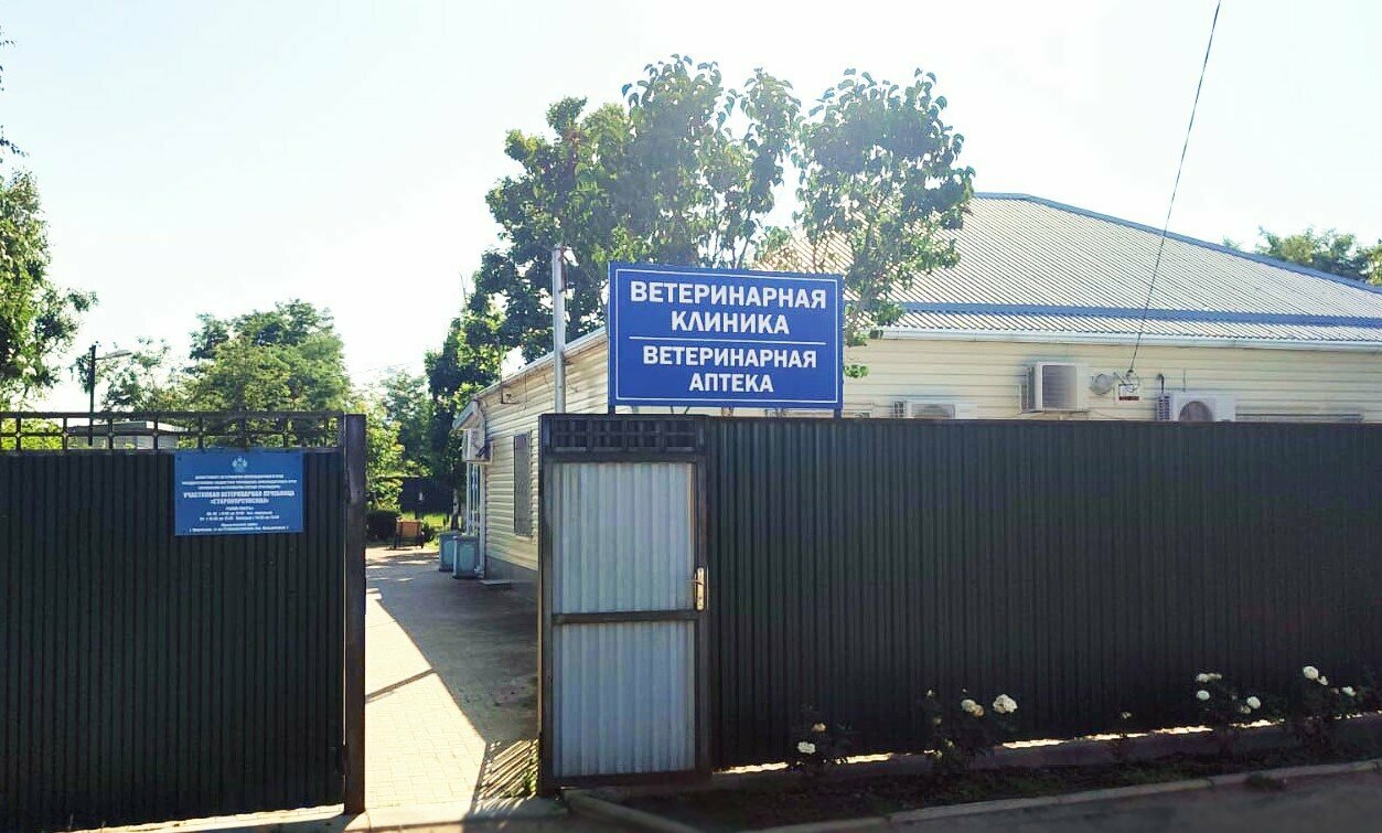 Участковая ветеринарная лечебница Старокорсунская
