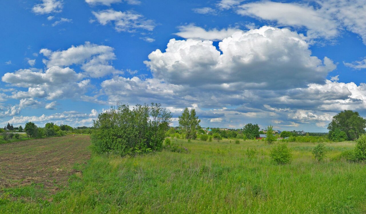 Фото клиники Лебедянская Станция по Борьбе С Болезнями Животных