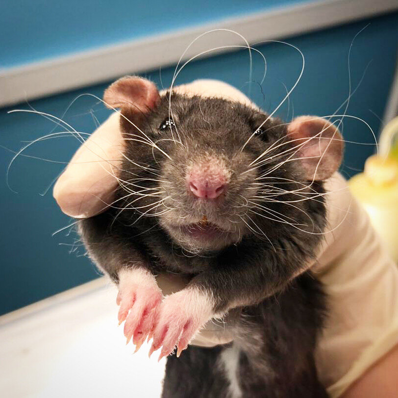 more clinic photos 20137