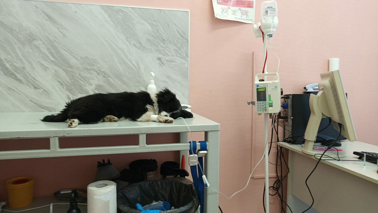 more clinic photos 20490