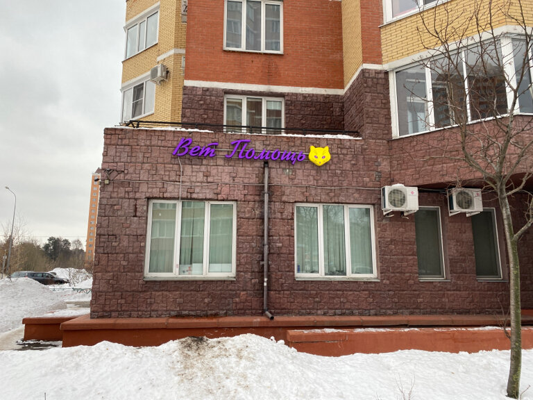 Солнечный кот