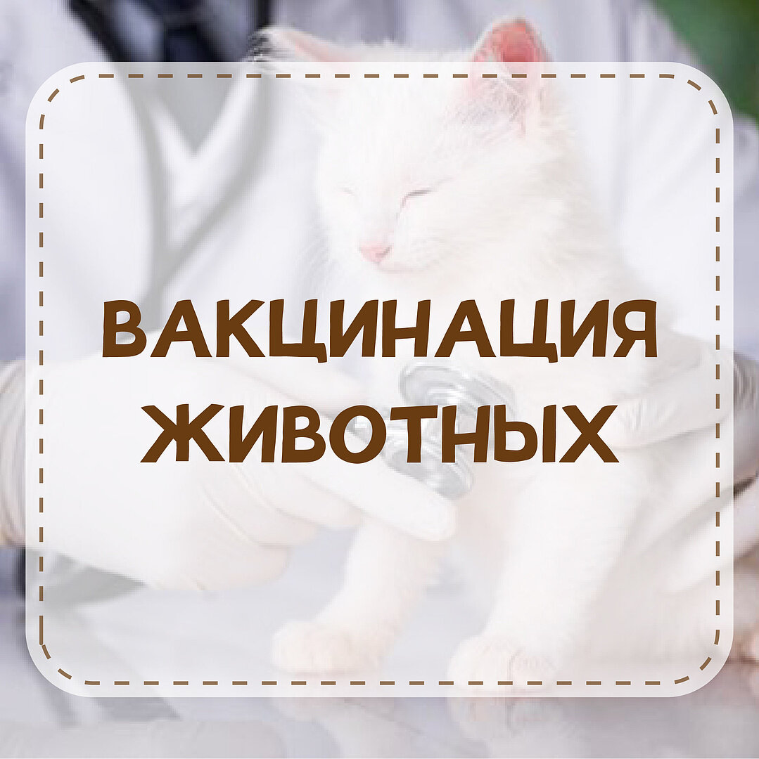 Фото клиники 10474