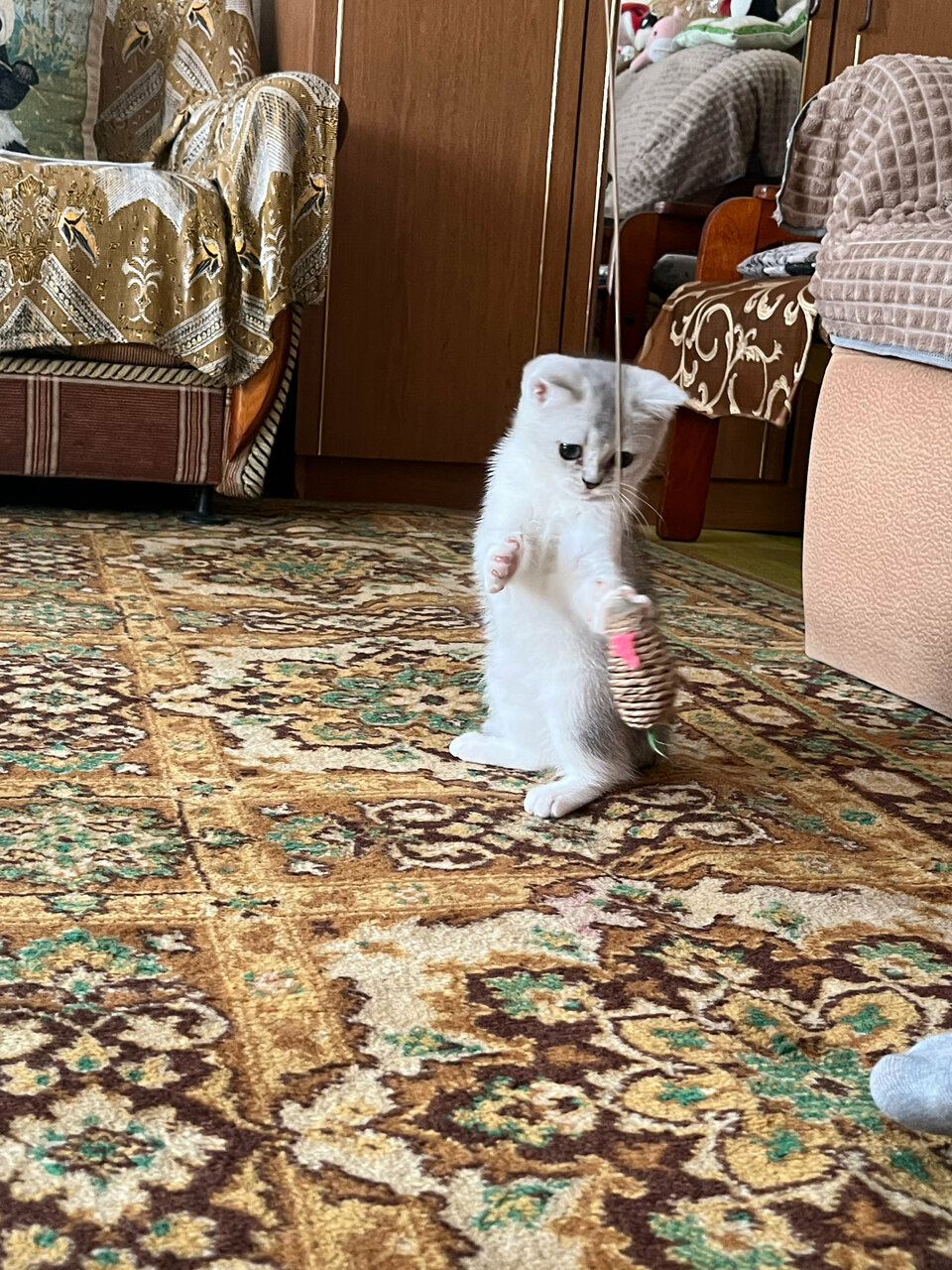 Фото клиники 33997