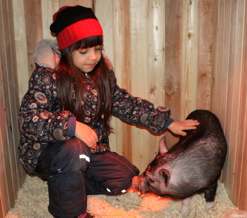 more clinic photos 39494