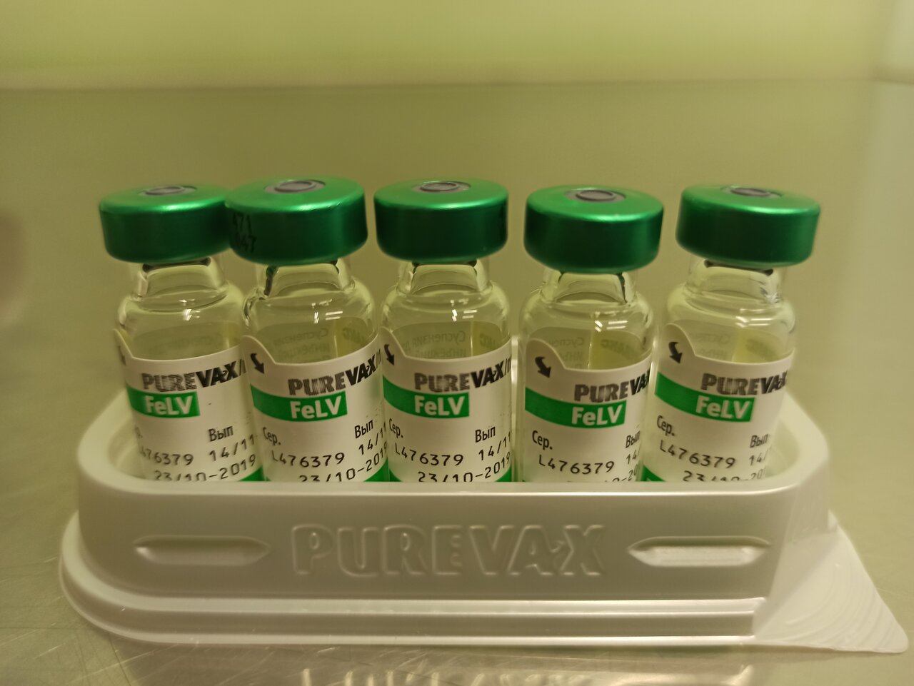 Родентовет