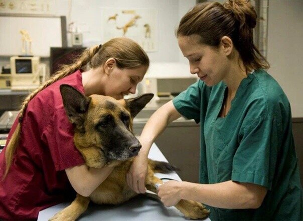 clinic general image