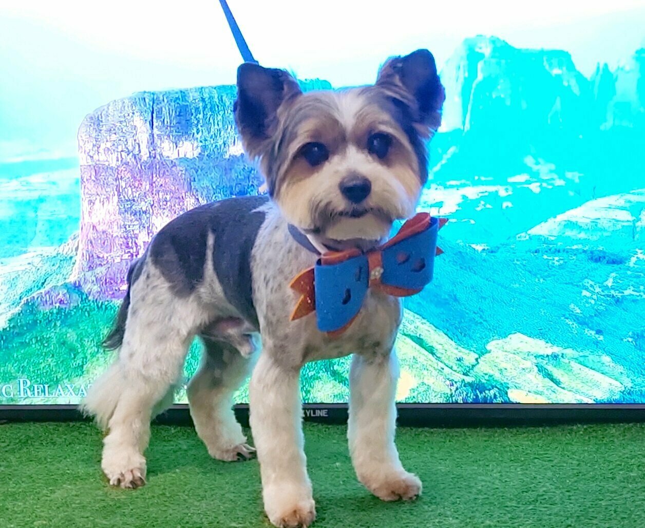 clinic general image