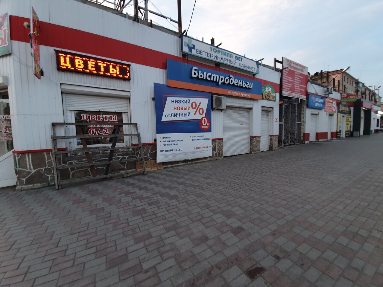 Тортилла Вет