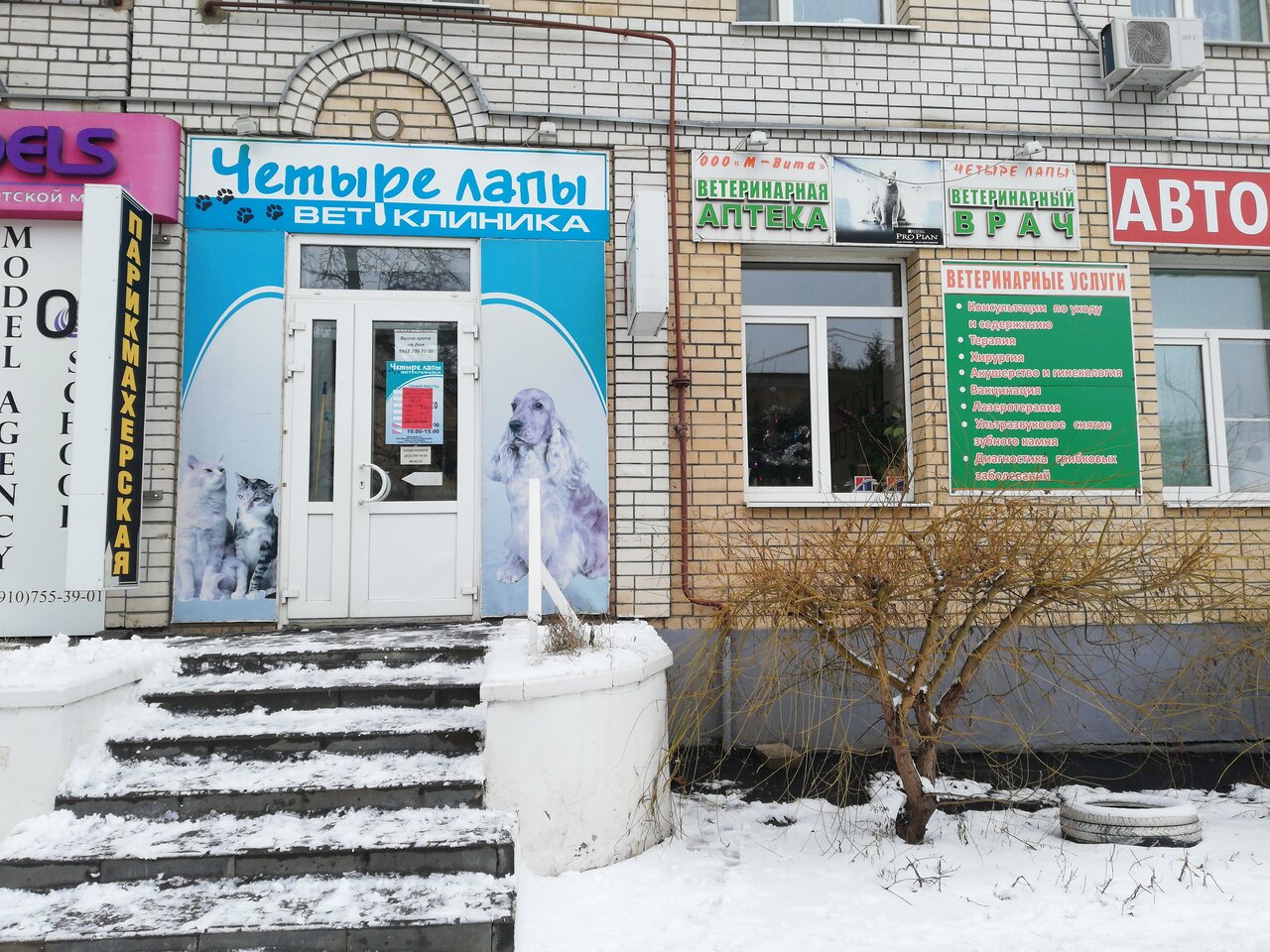 Добрые Лапы