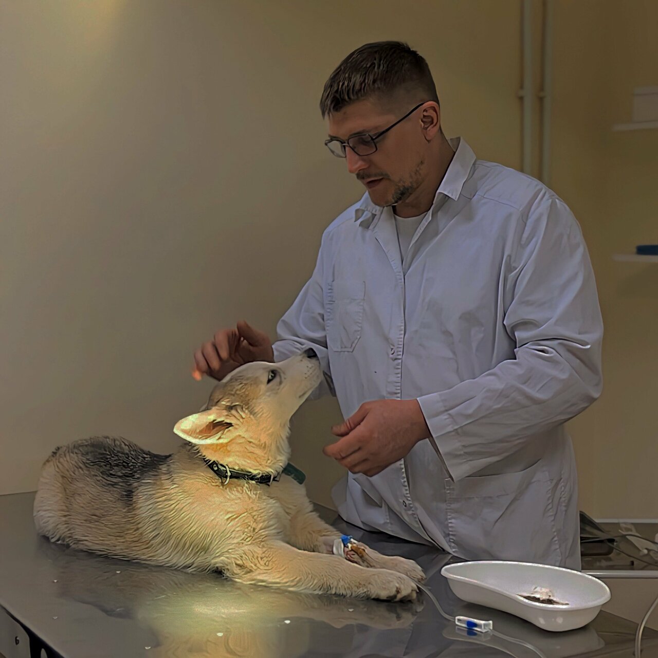 Ветеринарная клиника