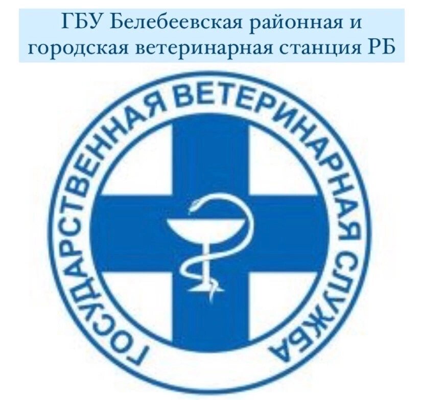 clinic logo