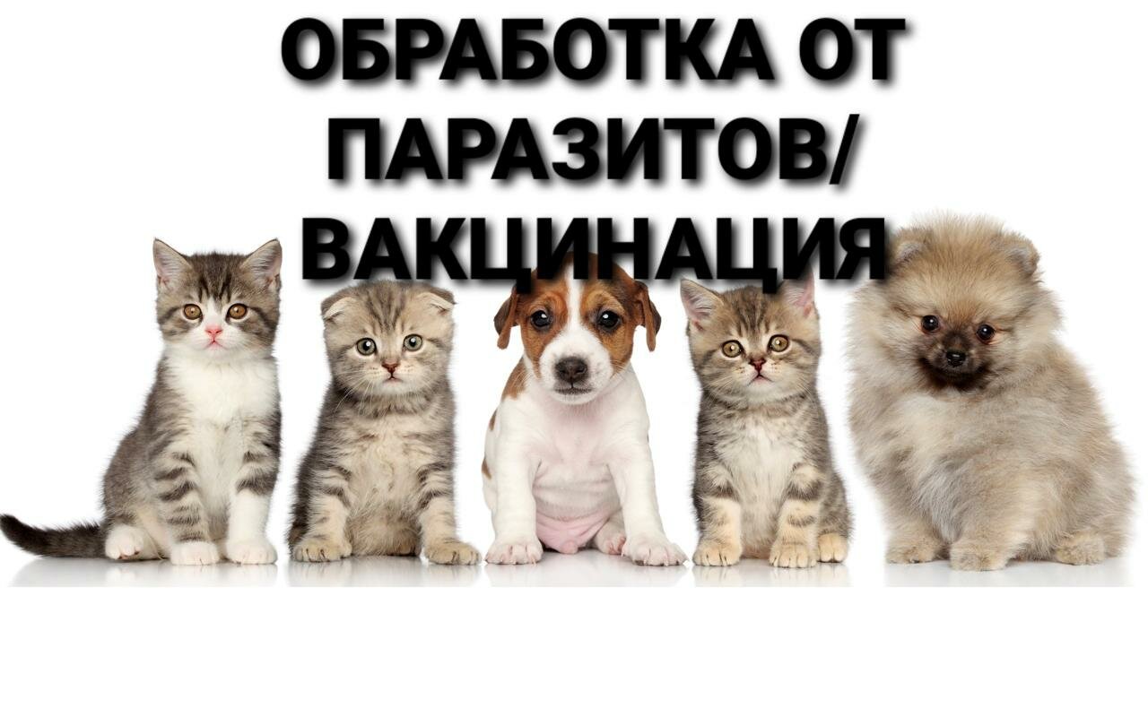 clinic general image