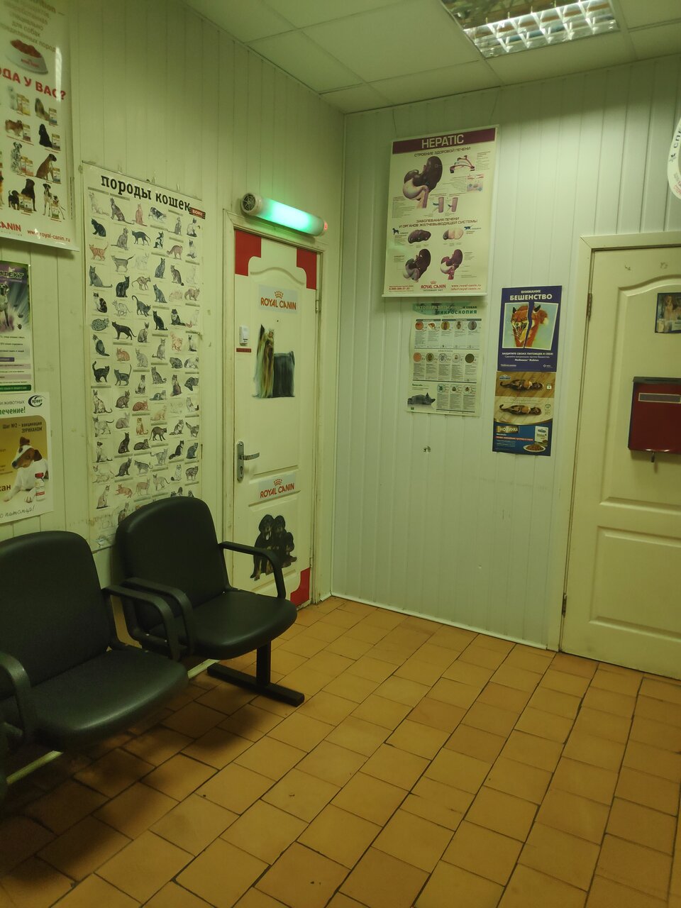 Фото клиники 54100
