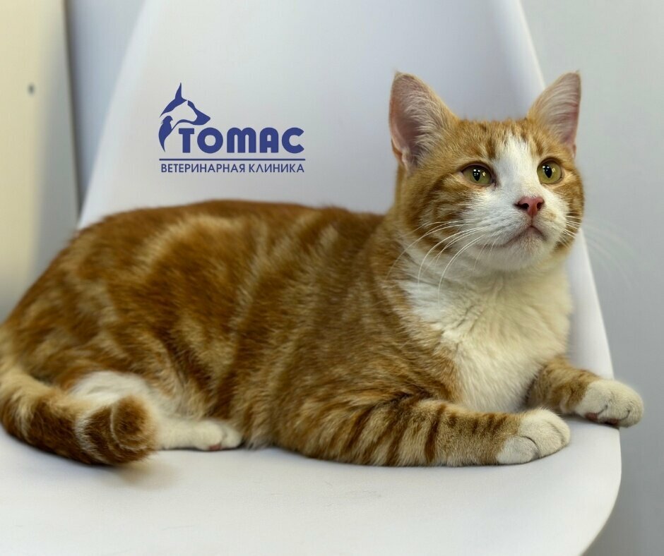 clinic general image