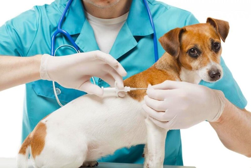 clinic general image