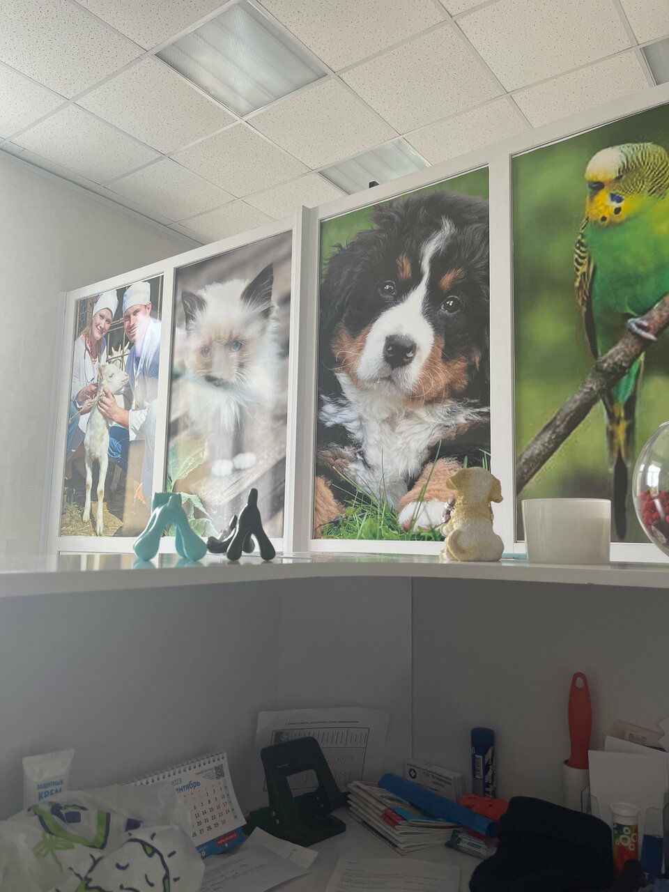 more clinic photos 45385