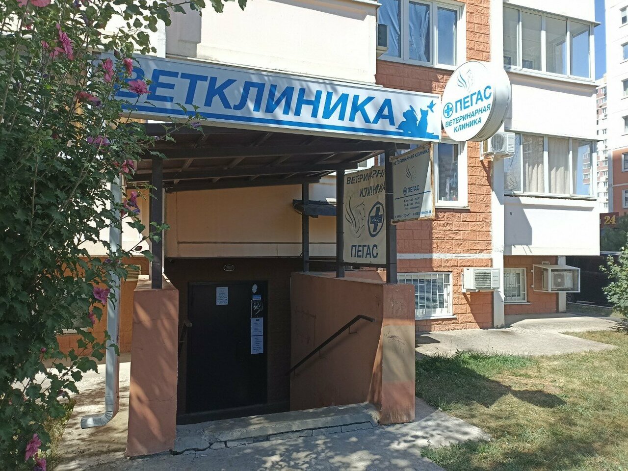 Главное фото клиники