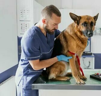 clinic general image