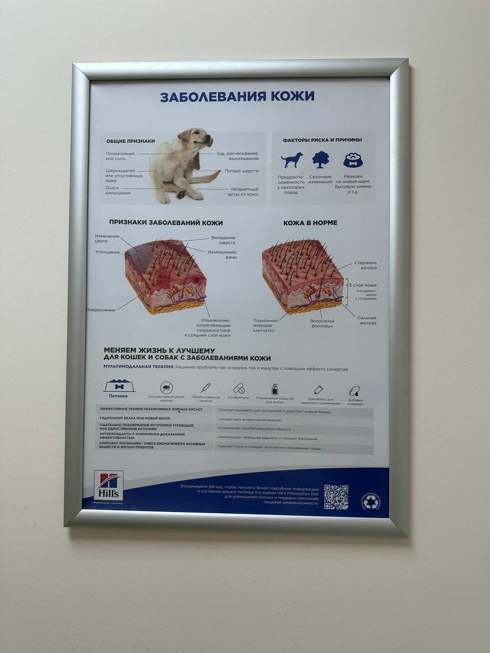 more clinic photos 84481