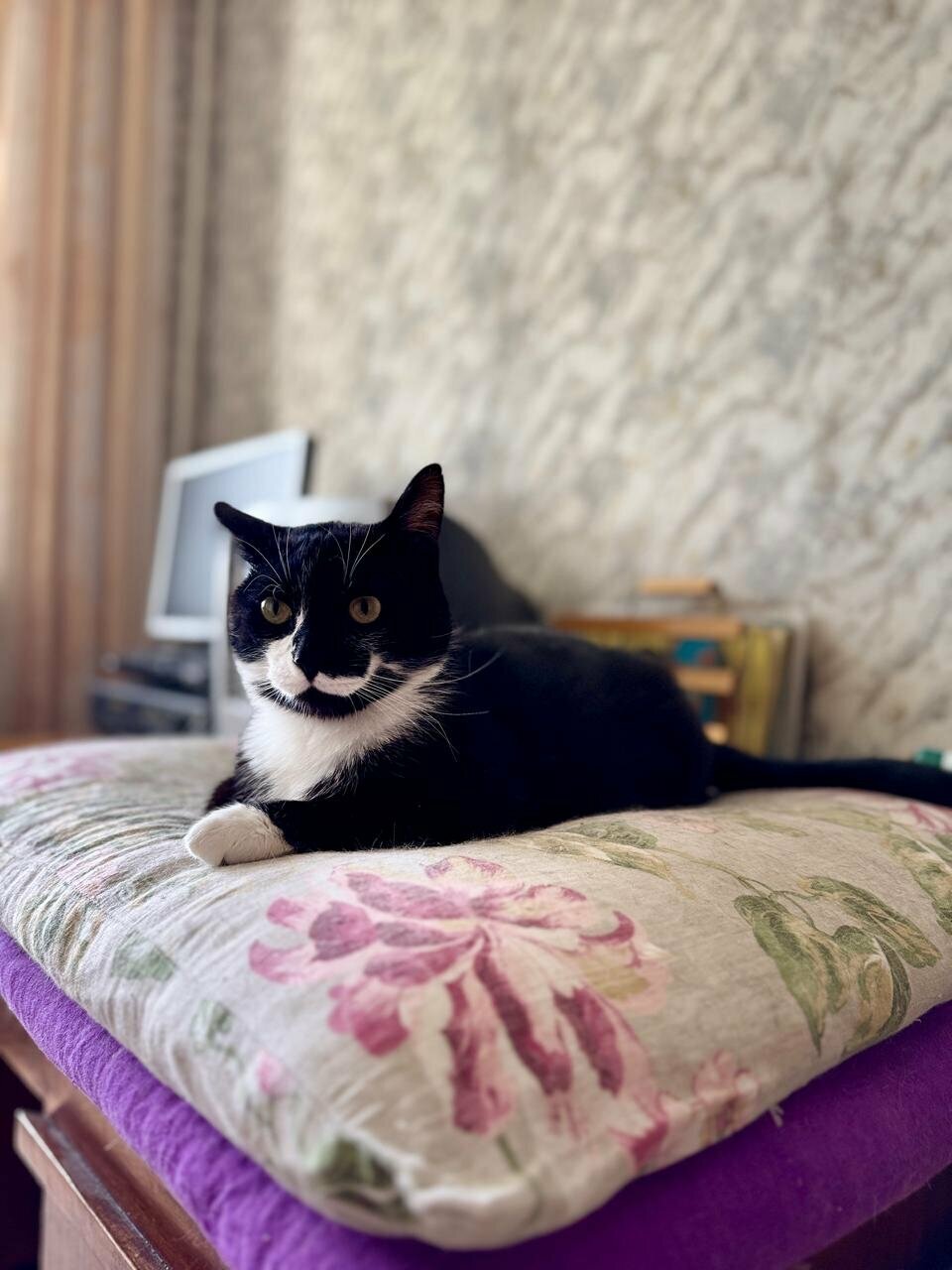 Фото клиники 54968
