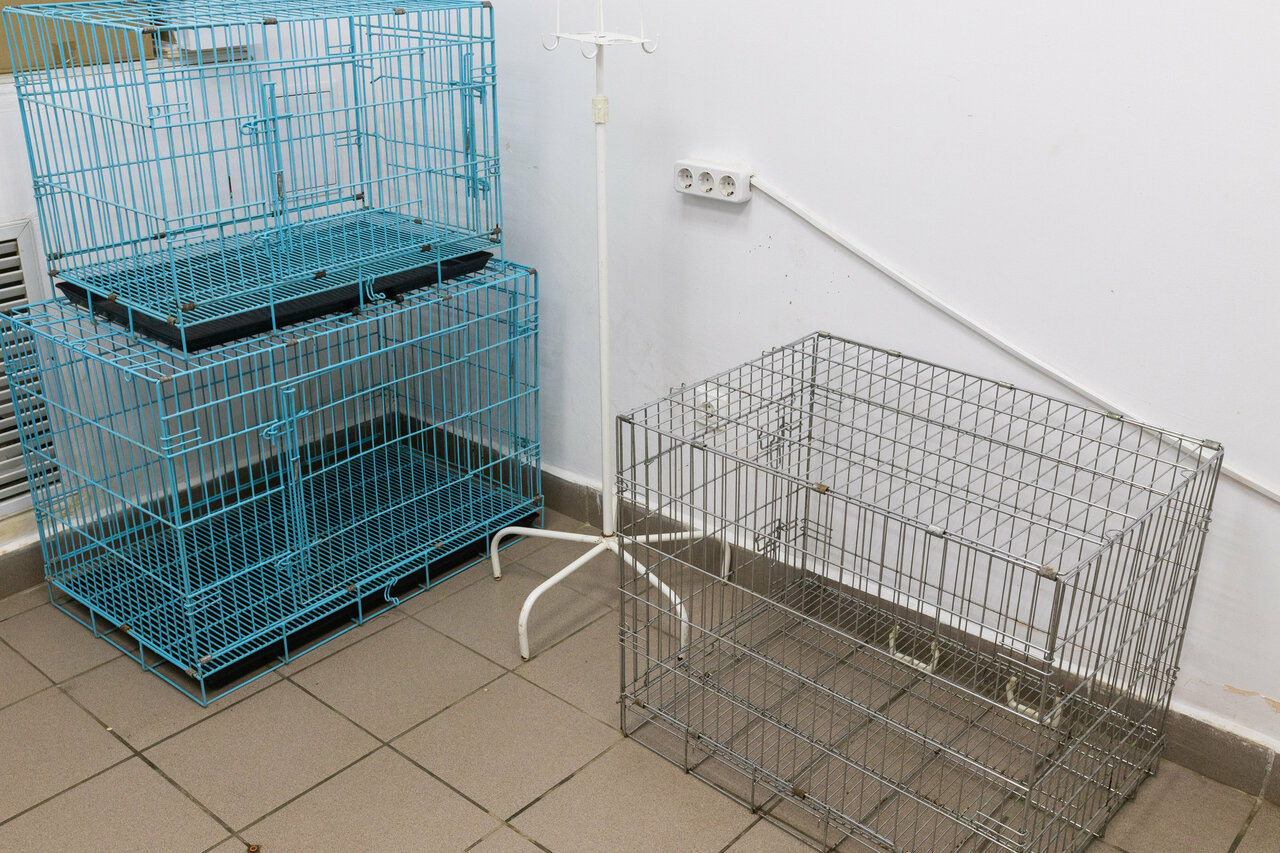 Фото клиники 21152