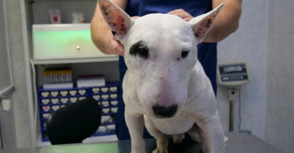 clinic general image