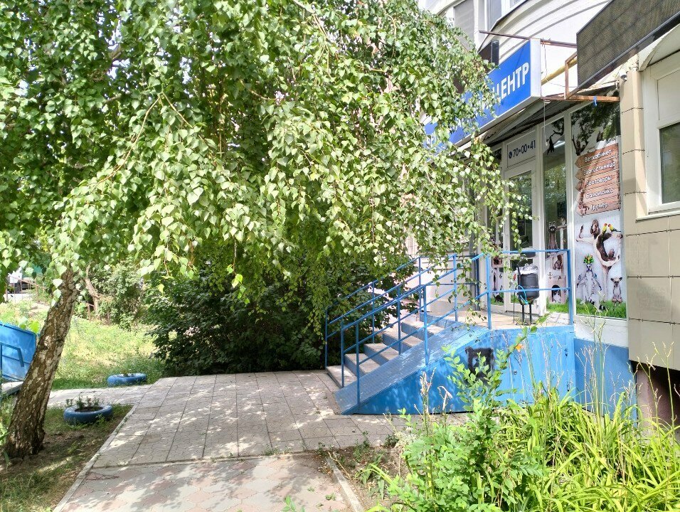 Фото клиники 54667