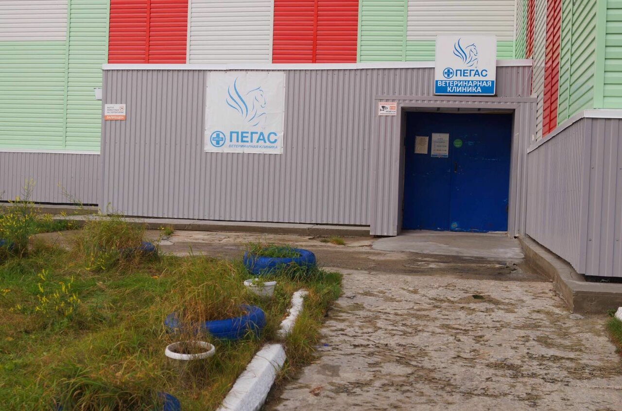 Фото клиники Пегас