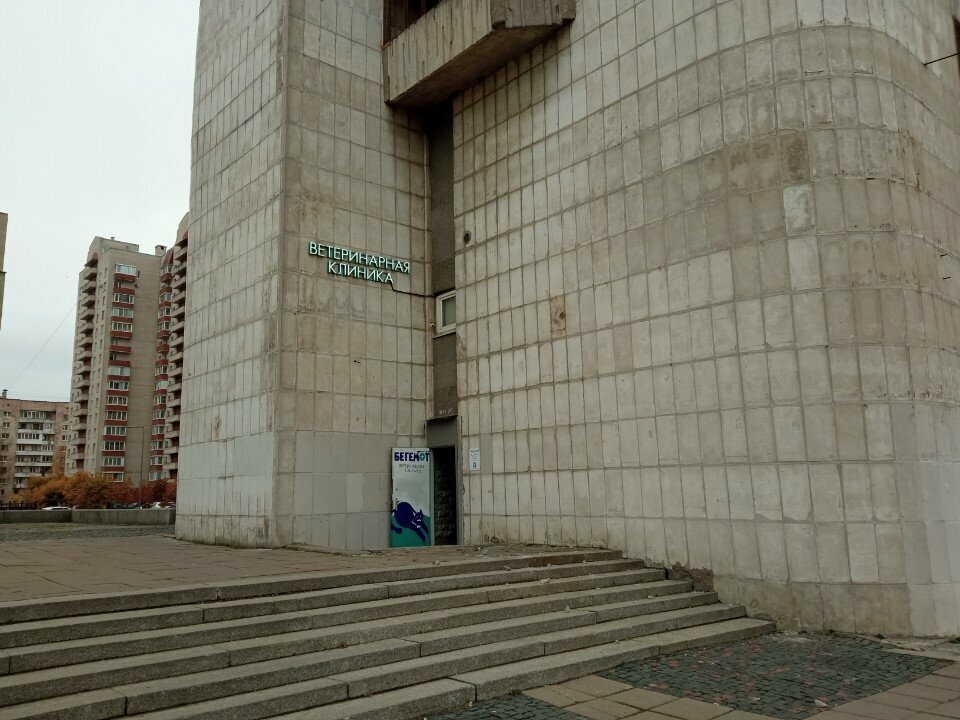 Фото клиники 10713
