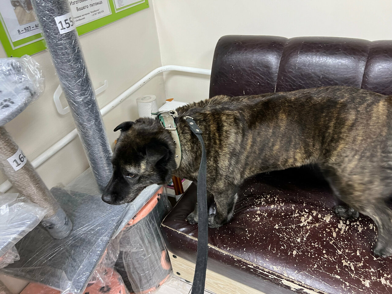 more clinic photos 37822