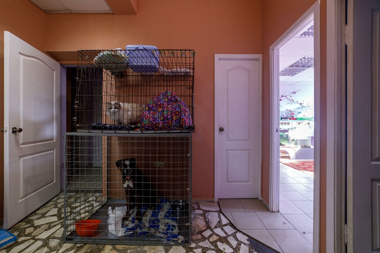 more clinic photos 24022