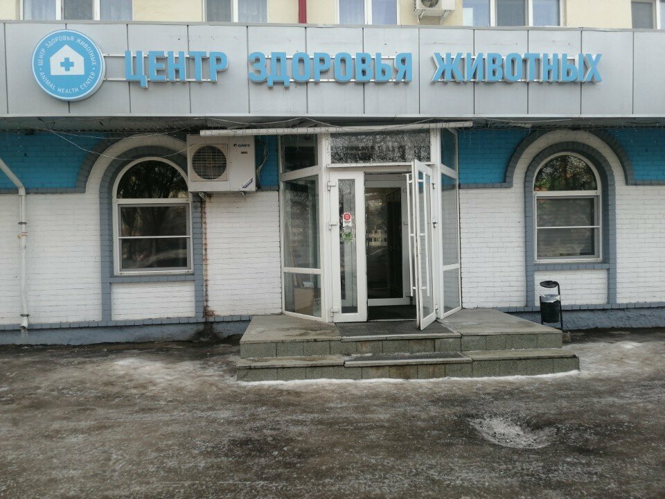 Салон-студия груминга