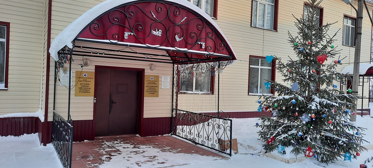 ГБУ Дюртюлинская районная и городская ветеринарная станция Республики Башкортостан