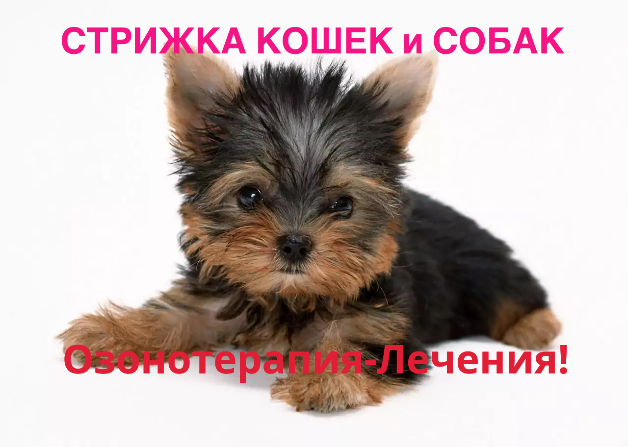 Логотип клиники