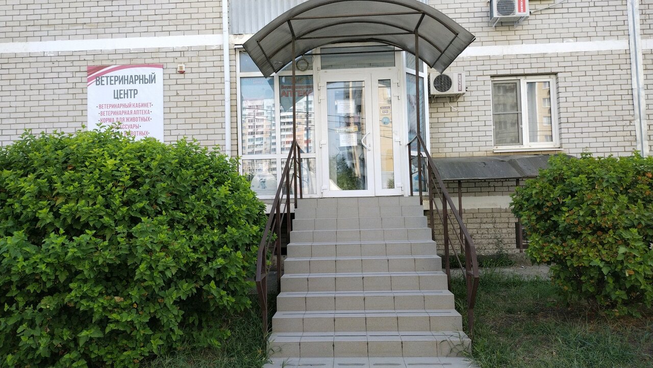 Фото клиники 66912