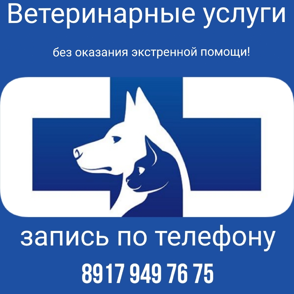 Логотип клиники